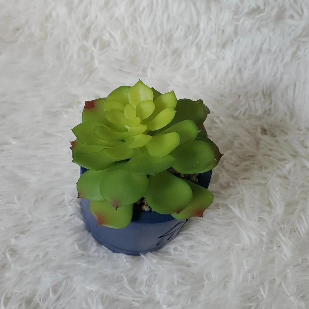 Navy Blue Southwestern Plant Pot Native American Symbols Faux Succulent Plant